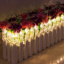LED Photo Clip Lights