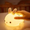 Silicone Colour Night Light