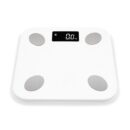 Smart Body Fat Scale