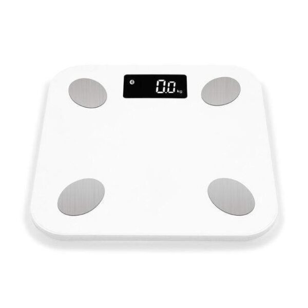Smart Body Fat Scale